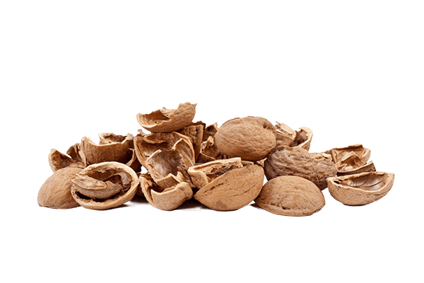Manufactory Crushed Walnut Shells for Stuffing - China Walnut